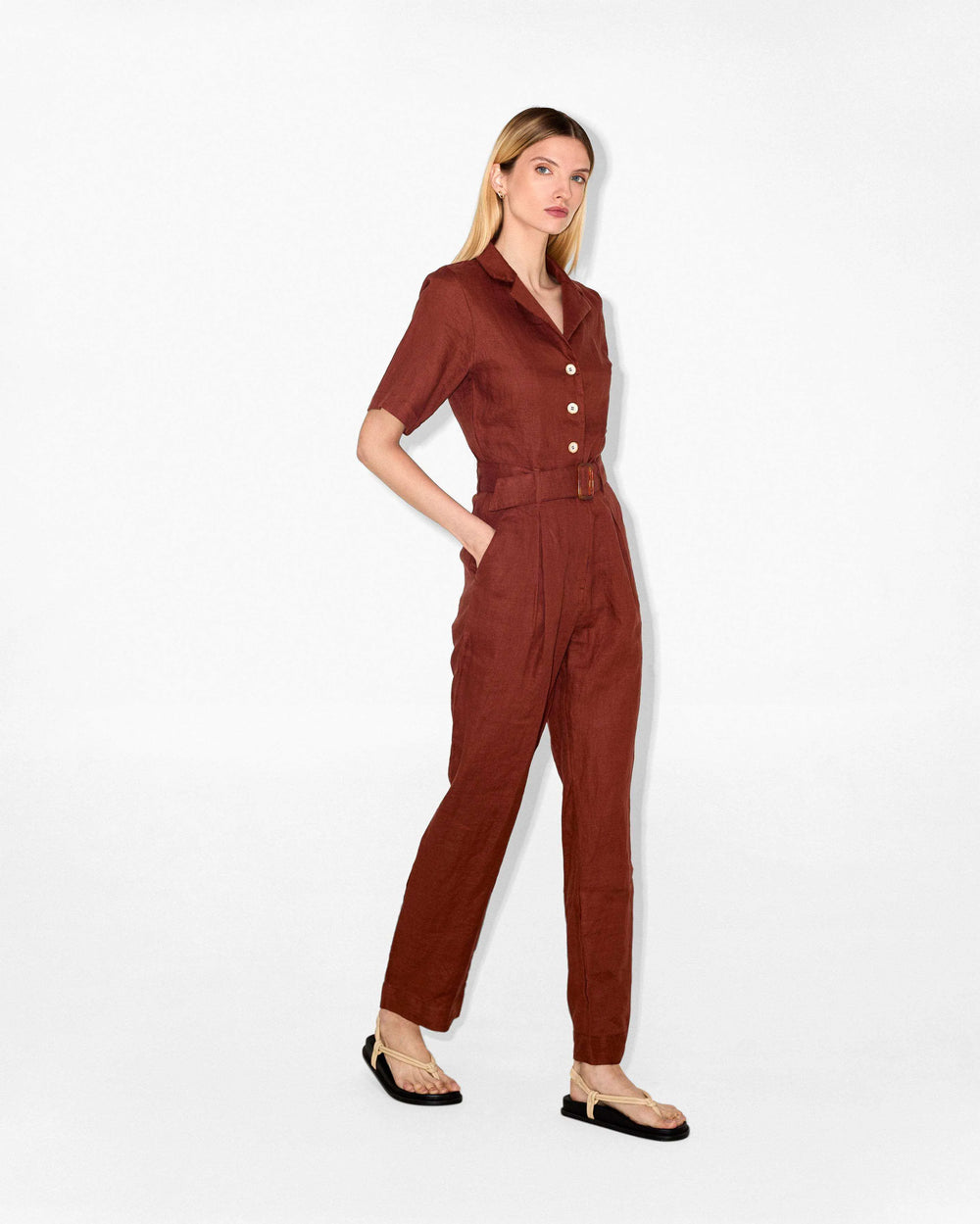 Sequoia